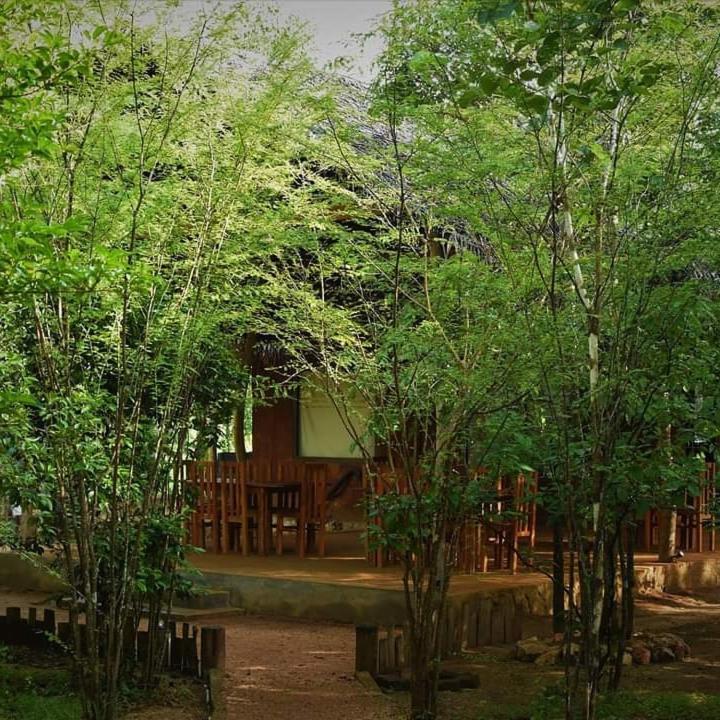 Sky Forest Habarana Luaran gambar