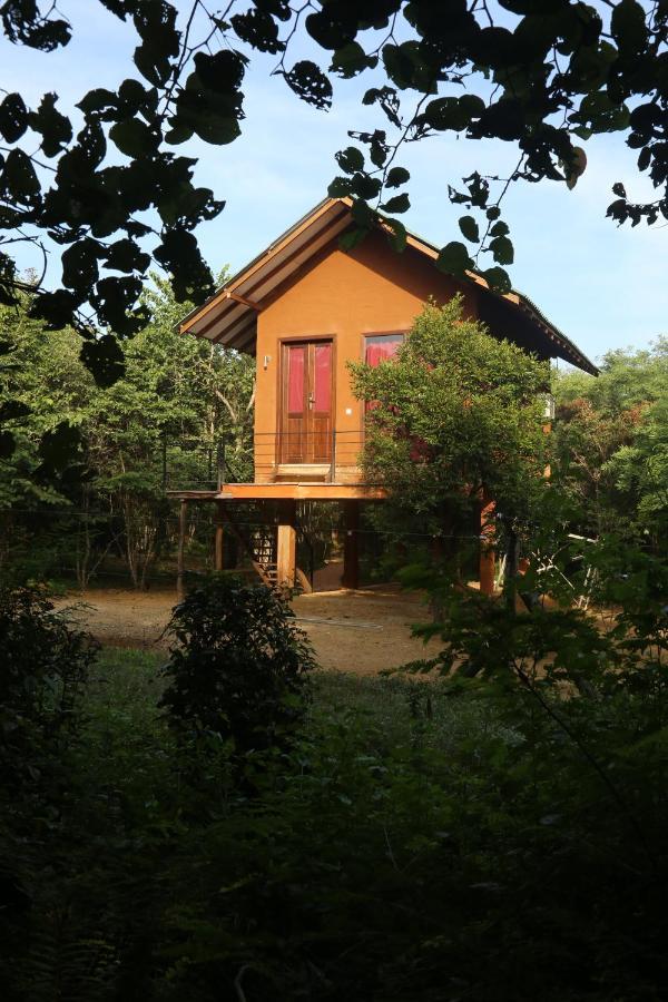 Sky Forest Habarana Luaran gambar