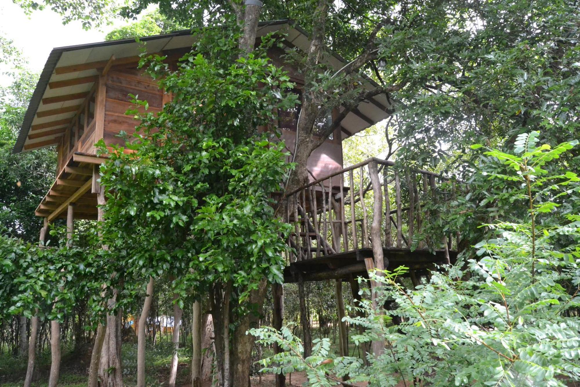 Sky Forest Habarana Luaran gambar