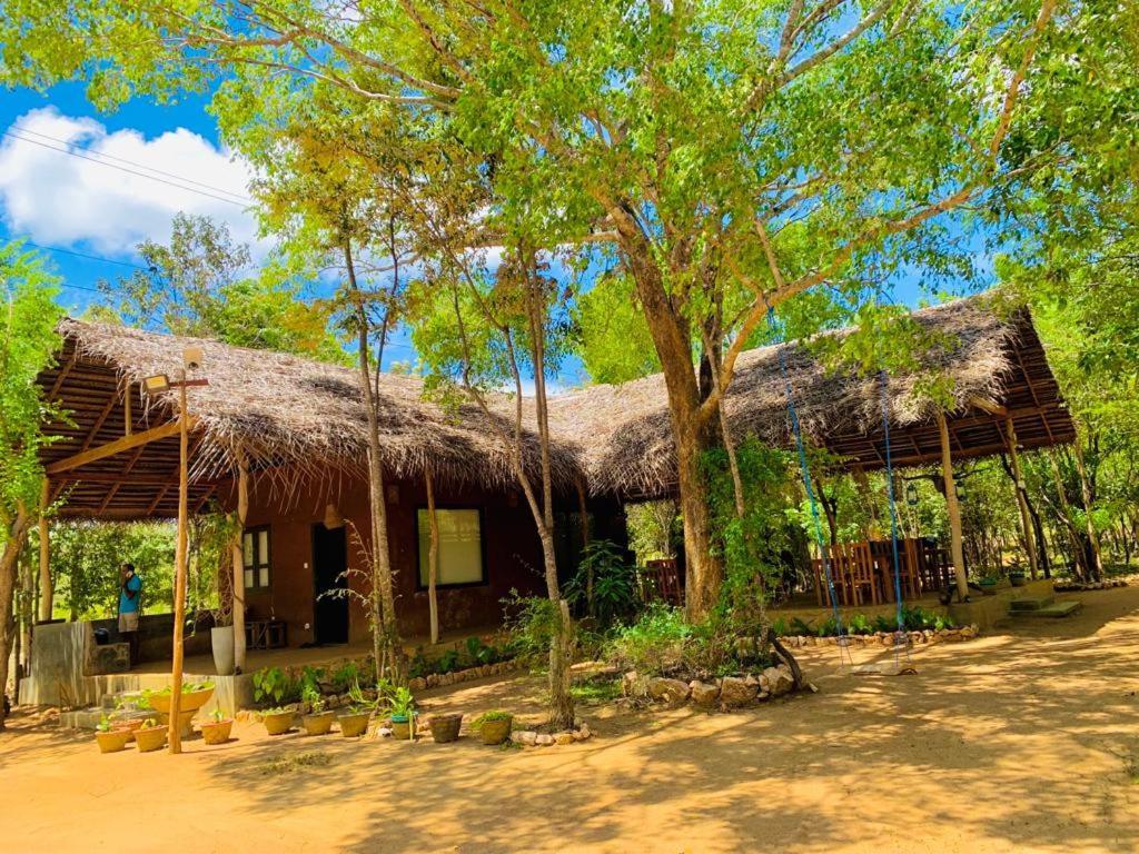 Sky Forest Habarana Luaran gambar