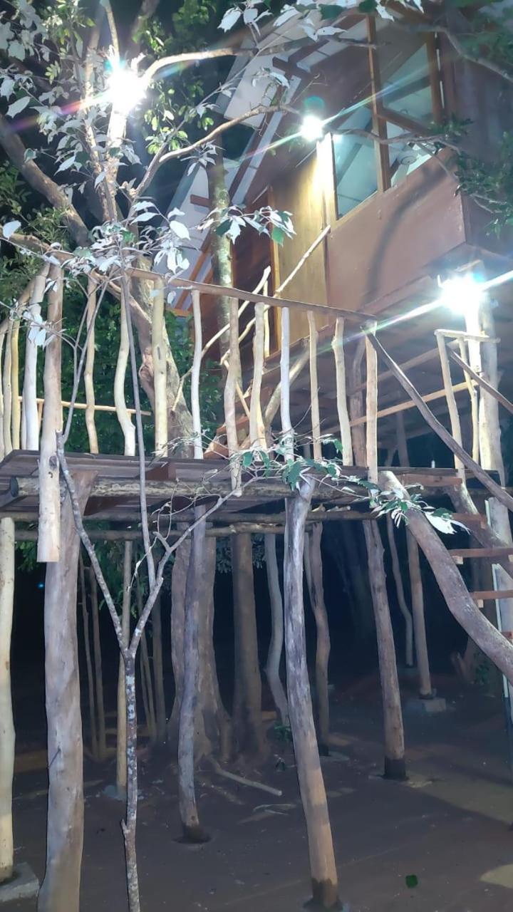 Sky Forest Habarana Luaran gambar