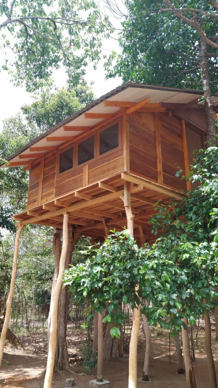 Sky Forest Habarana Luaran gambar