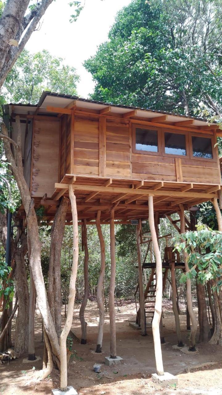 Sky Forest Habarana Luaran gambar
