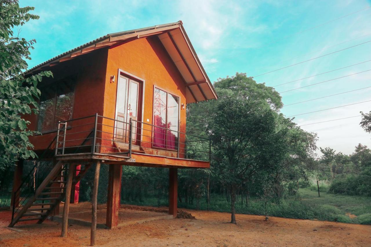 Sky Forest Habarana Luaran gambar